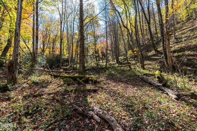 140 Doe Ln, Roan Mountain, TN 37687