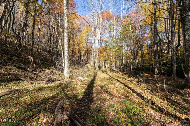 140 Doe Ln, Roan Mountain, TN 37687