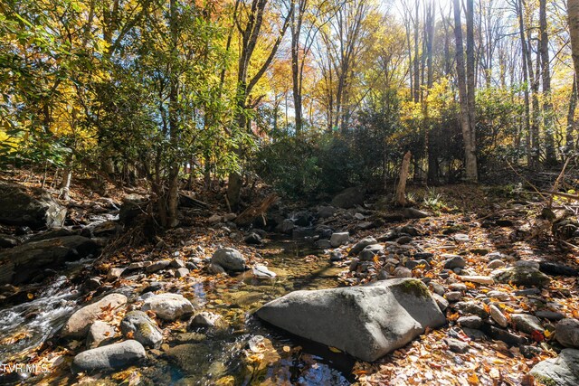 140 Doe Ln, Roan Mountain, TN 37687