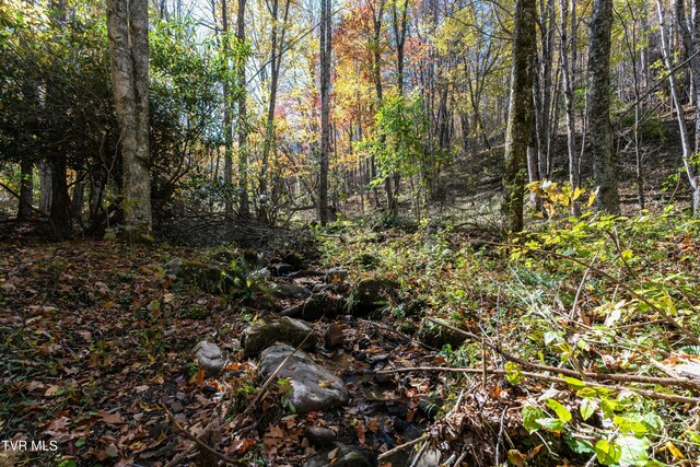 140 Doe Ln, Roan Mountain, TN 37687