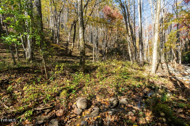 140 Doe Ln, Roan Mountain, TN 37687