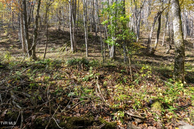 140 Doe Ln, Roan Mountain, TN 37687