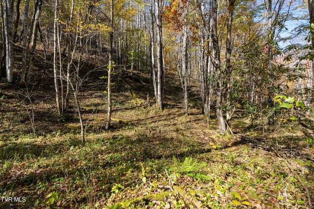 140 Doe Ln, Roan Mountain, TN 37687