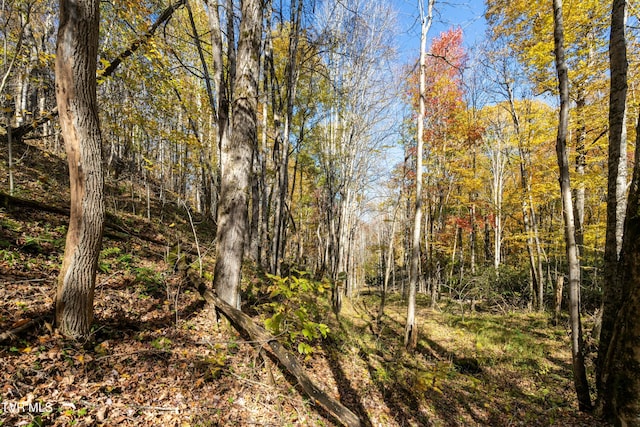 140 Doe Ln, Roan Mountain, TN 37687