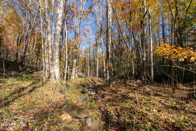 140 Doe Ln, Roan Mountain, TN 37687