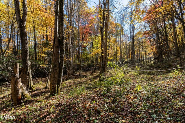 140 Doe Ln, Roan Mountain, TN 37687