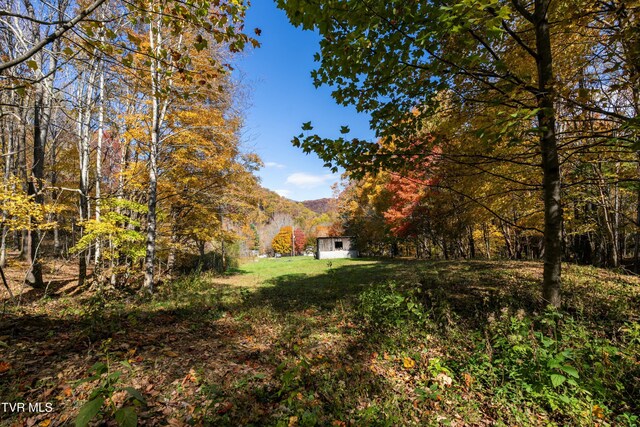 140 Doe Ln, Roan Mountain, TN 37687
