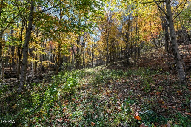 140 Doe Ln, Roan Mountain, TN 37687