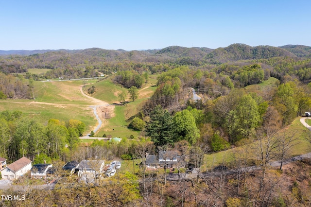 aerial view with a mountain view