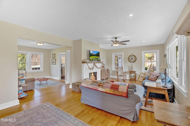 living room featuring baseboards, wood finished floors, a fireplace, and a healthy amount of sunlight