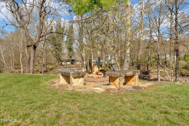 view of yard with a fire pit