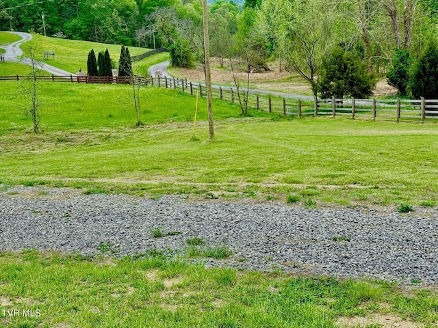 169 Williams Ln, Rogersville, TN 37857 - photo 11