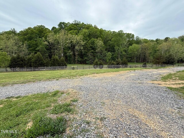 169 Williams Ln, Rogersville, TN 37857 - photo 12