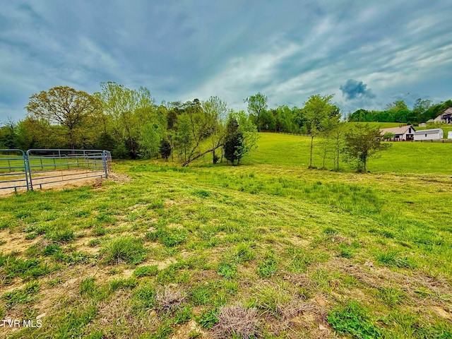 169 Williams Ln, Rogersville, TN 37857 - photo 13
