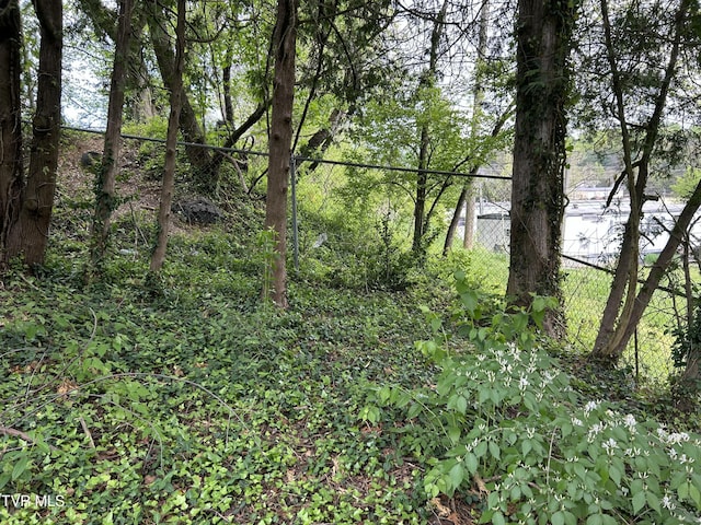 604 E Church Hill St, Greeneville, TN 37745 - view of landscape