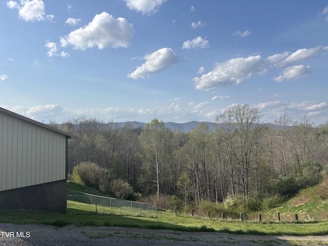 490 Delaney Ln, Clintwood, VA 24228 - mountain view with a forest view