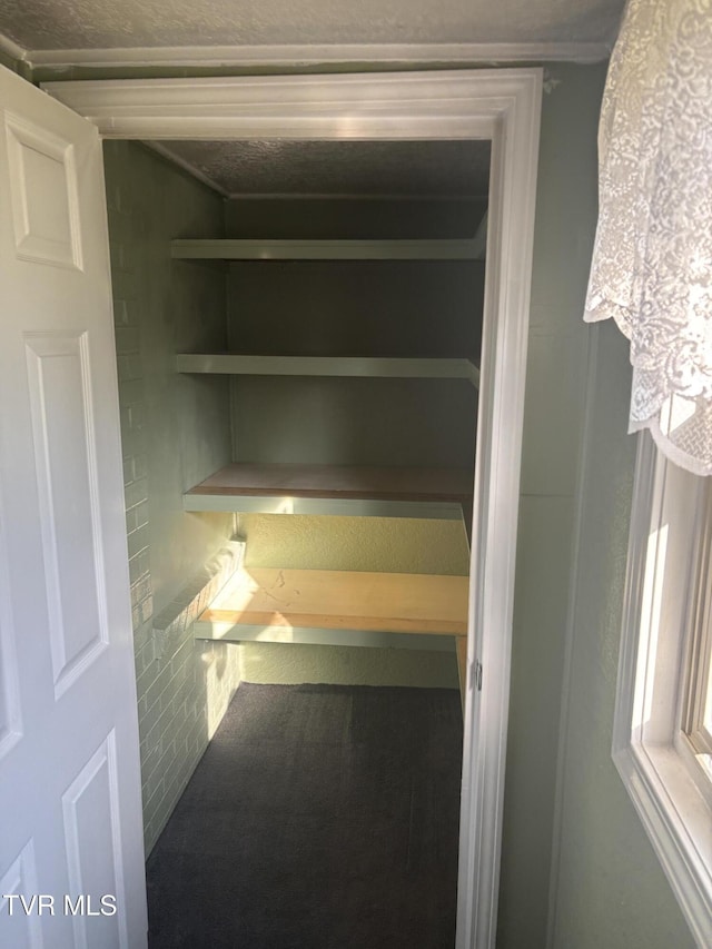 490 Delaney Ln, Clintwood, VA 24228 - view of closet