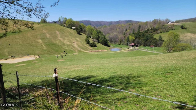 0 Dry Hill Rd Lot 29, Butler, TN 37640