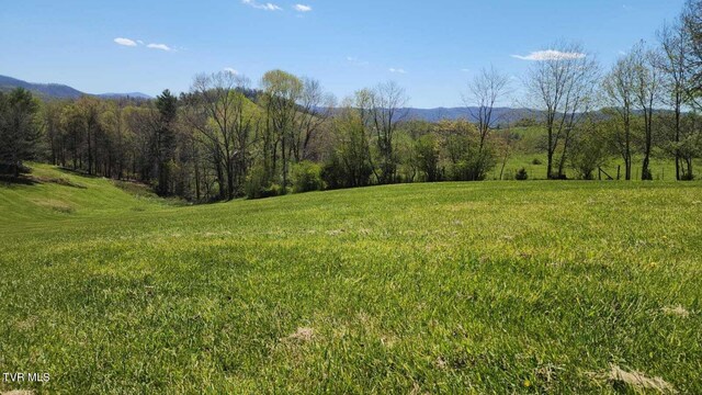 0 Dry Hill Rd Lot 29, Butler, TN 37640