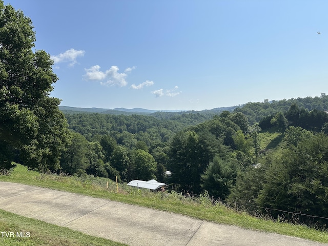 1456 Osbornes Gap Rd, Clintwood, VA 24228 - view of mountain background featuring a forest