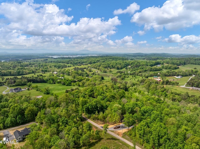 332 Tom Patterson Trl, Dandridge, TN 37725 - drone / aerial view of a forest