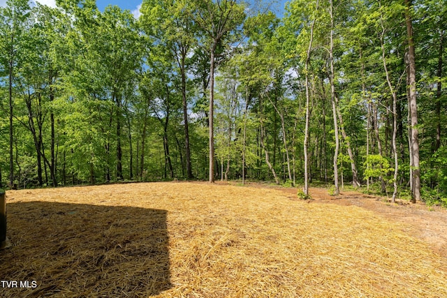 332 Tom Patterson Trl, Dandridge, TN 37725 - view of yard