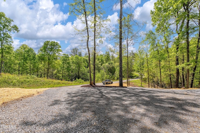 332 Tom Patterson Trl, Dandridge, TN 37725 - view of dirt / gravel road with a view of trees