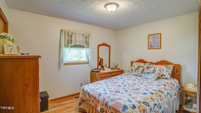 683 Ridge Rd, Piney Flats, TN 37686 - bedroom featuring baseboards, wood finished floors, and a textured ceiling