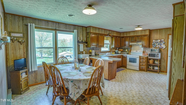 683 Ridge Rd, Piney Flats, TN 37686 - kitchen with wooden walls, light floors, brown cabinetry, and white appliances