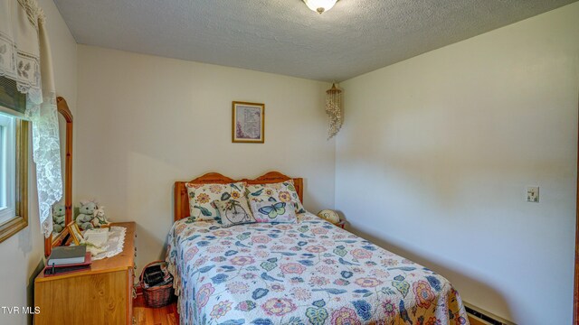 683 Ridge Rd, Piney Flats, TN 37686 - bedroom featuring a textured ceiling and multiple windows