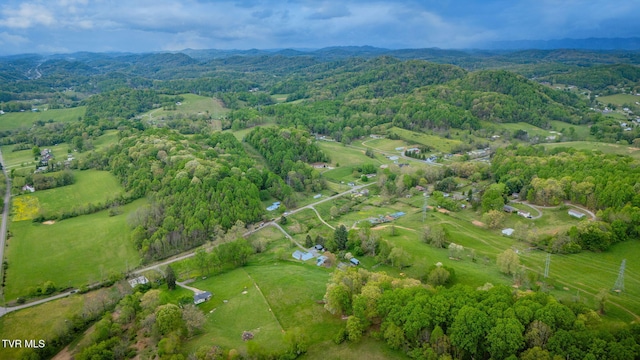 birds eye view of property with a view of trees, a mountain view, and a rural view