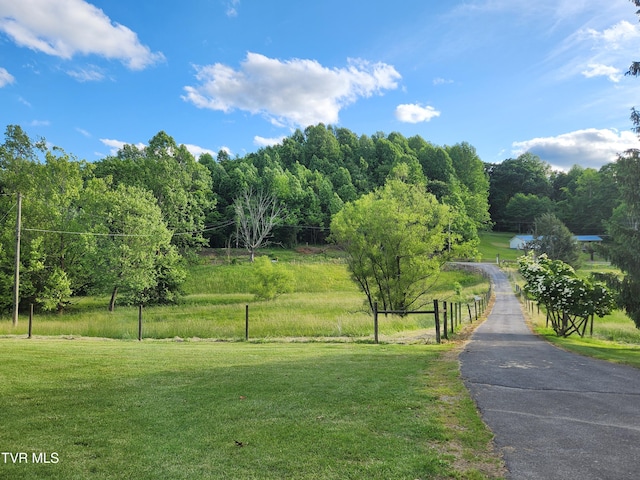 12075 Goose Creek Rd, Bristol, VA 24202 - surrounding community with a lawn and a forest view