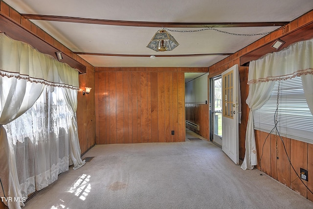 4418 Weaver Pike, Bluff City, TN 37618 - spare room with wood walls and light carpet