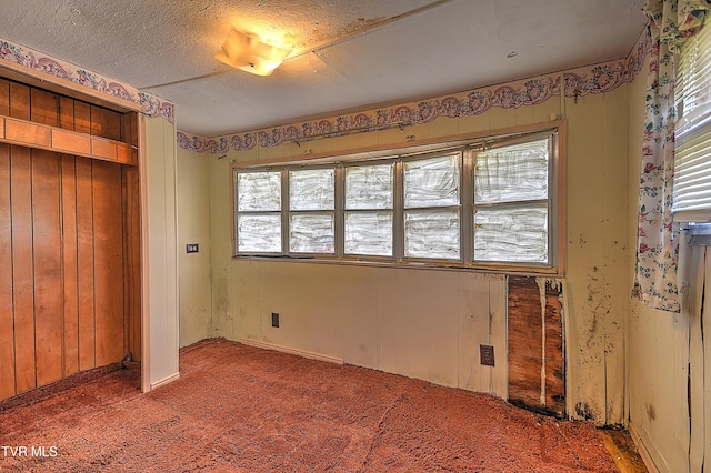4418 Weaver Pike, Bluff City, TN 37618 - unfurnished bedroom with carpet floors, multiple windows, a textured ceiling, and a closet