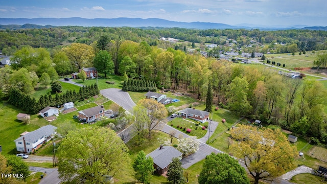 750 Mcchesney Dr, Bristol, VA 24201 - photo 39