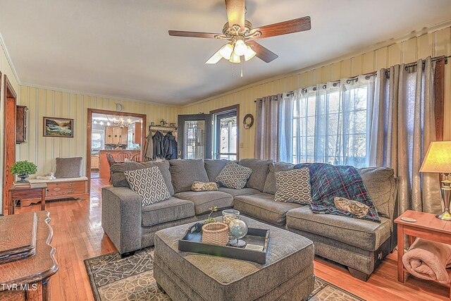 344 Virginia Dr, Bristol, VA 24201 - living room featuring ceiling fan with notable chandelier, light wood-style flooring, wooden walls, and ornamental molding