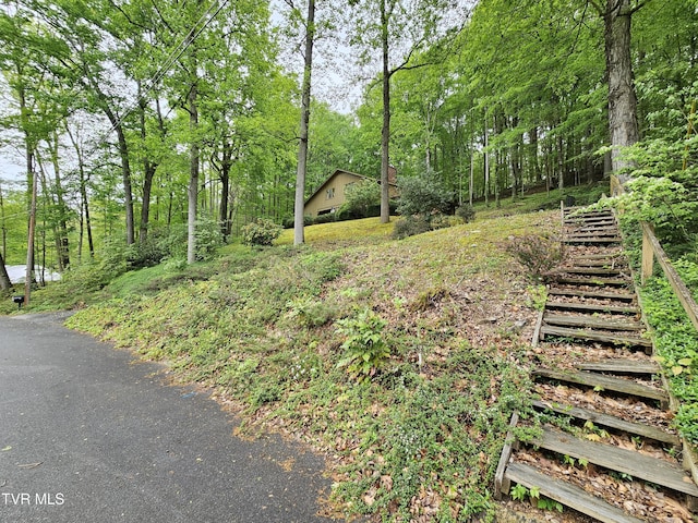 10 Tallapoosa Rd, Johnson City, TN 37604 - photo 47