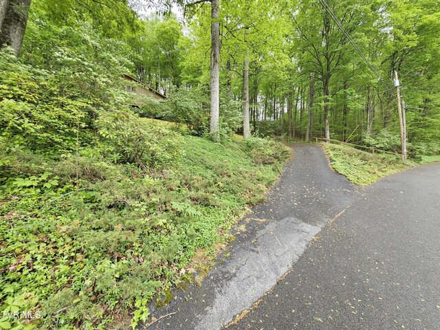 10 Tallapoosa Rd, Johnson City, TN 37604 - photo 48