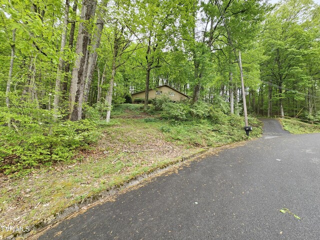 10 Tallapoosa Rd, Johnson City, TN 37604 - photo 49