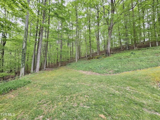 10 Tallapoosa Rd, Johnson City, TN 37604 - photo 50