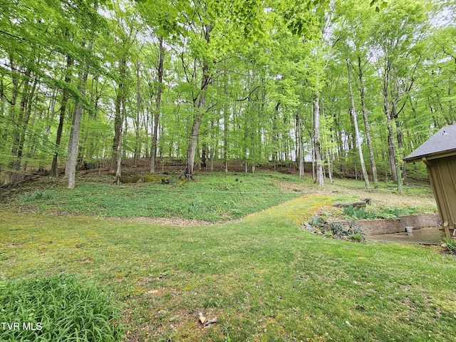 10 Tallapoosa Rd, Johnson City, TN 37604 - photo 51