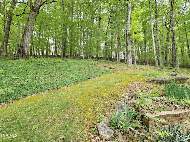 10 Tallapoosa Rd, Johnson City, TN 37604 - photo 52