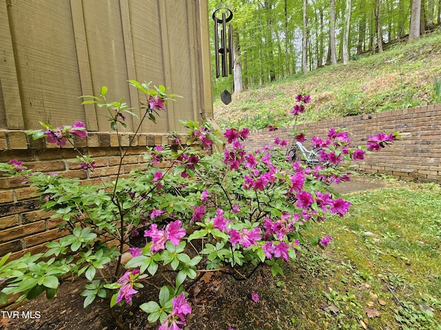 10 Tallapoosa Rd, Johnson City, TN 37604 - photo 11