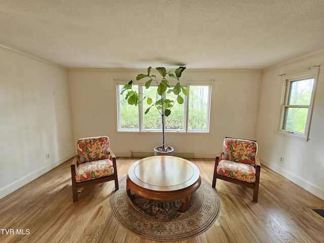 10 Tallapoosa Rd, Johnson City, TN 37604 - photo 16