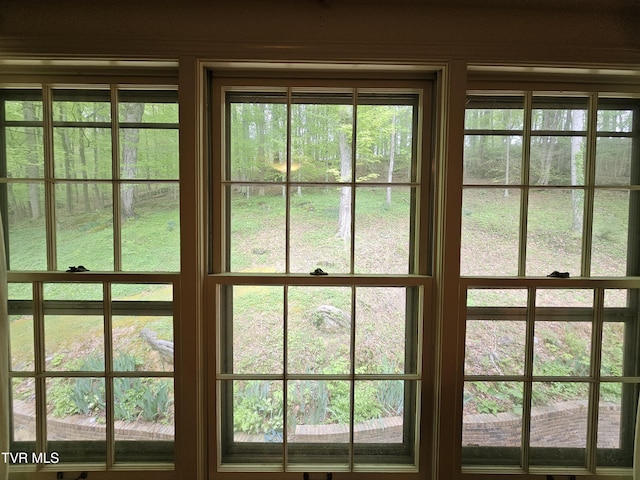 10 Tallapoosa Rd, Johnson City, TN 37604 - photo 36