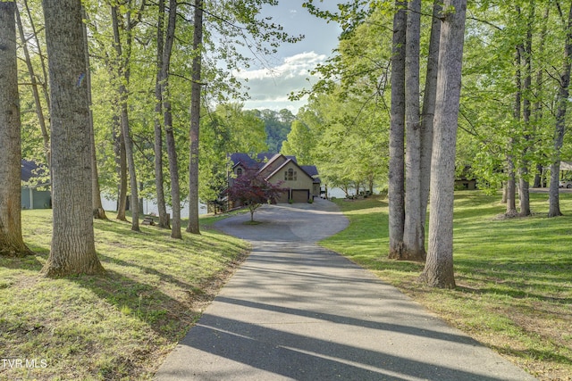768 Lake Point Dr, Piney Flats, TN 37686 - view of community featuring driveway and a lawn