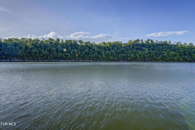 768 Lake Point Dr, Piney Flats, TN 37686 - view of water feature