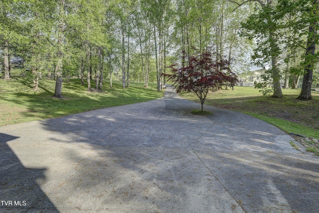 768 Lake Point Dr, Piney Flats, TN 37686 - exterior space featuring a lawn