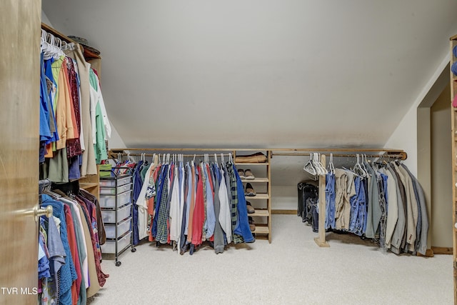 768 Lake Point Dr, Piney Flats, TN 37686 - walk in closet with carpet flooring