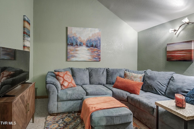 768 Lake Point Dr, Piney Flats, TN 37686 - living area with lofted ceiling, a textured ceiling, baseboards, carpet floors, and a textured wall